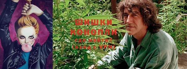 каннабис Балахна