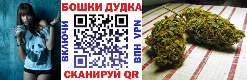 Конопля индика  как найти наркотики  Высоковск 